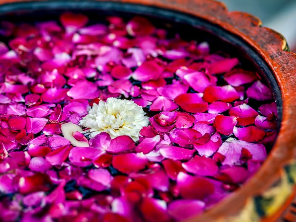 Ayurveda Galerie