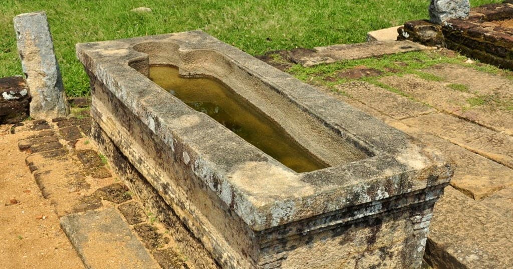 Ayurveda – Die Wissenschaft des Lebens